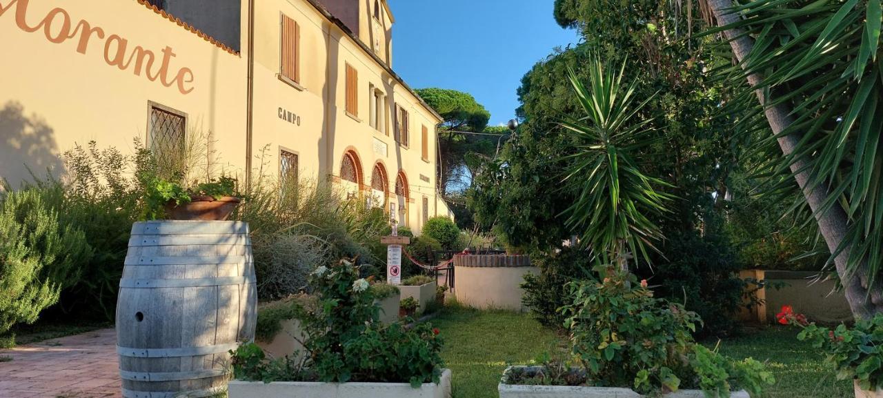 Locanda Menabuoi Donoratico Exteriör bild